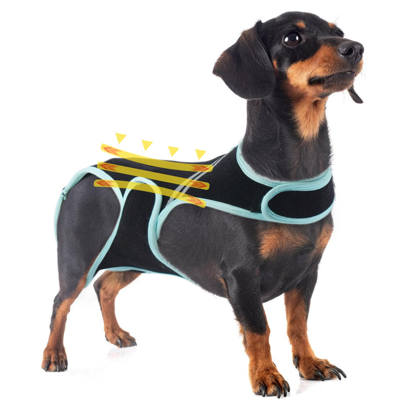 PUMYPOREITY Dog Back Support Brace, Dog Back Bracer, Back Protector Helps Pain Relief, Surgical Recovery, Back Injuries and Rehabilitation, Improved Movement and Stability for Senior Pets(XS) XS