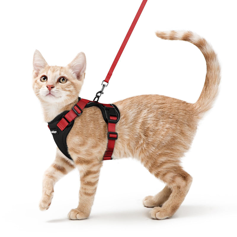 rabbitgoo Cat Harness and Lead Set, Escape Proof Kitten Harness with Leash, Metal Ring, Lightweight Soft, Reflective Adjustable Vest for Small Cat Walking Travel XS (Pack of 1), Black & Red XS (Pack of 1)
