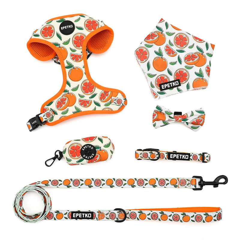 Dog Leash and Harness Set of 6, Soft Lightweight Mesh Step-in Puppy Harness, Adjustable Cute Floral Pattern Puppy Harness for Small Medium Dogs Orange M - PawsPlanet Australia