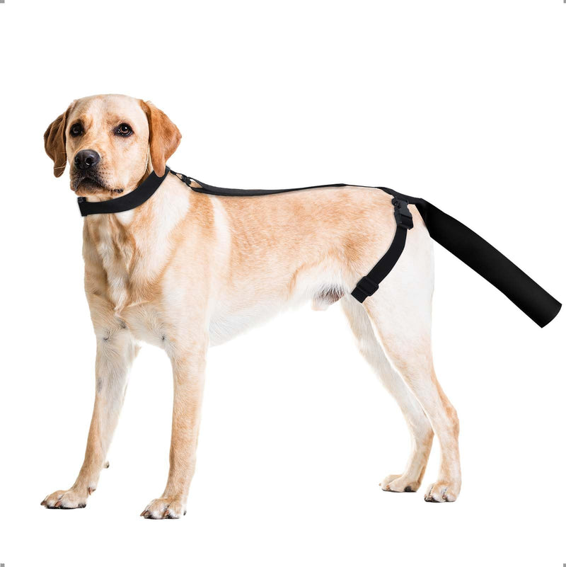OHCOZZY Dog Tail Protector, Dog Tail Bandage Cover with Tail Guard Ends Protector Sleeve,Dog Harness for Comfortable Wound Injury Recovery,L L Black