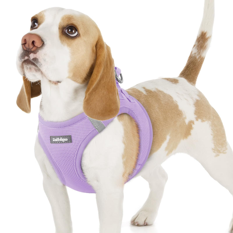 rabbitgoo Dog Harness Small Dog, Step-in Soft Mesh Puppy Harness with Reflective Strips, Lightweight Breathable Pet Vest for Walking Training, Light Purple, M