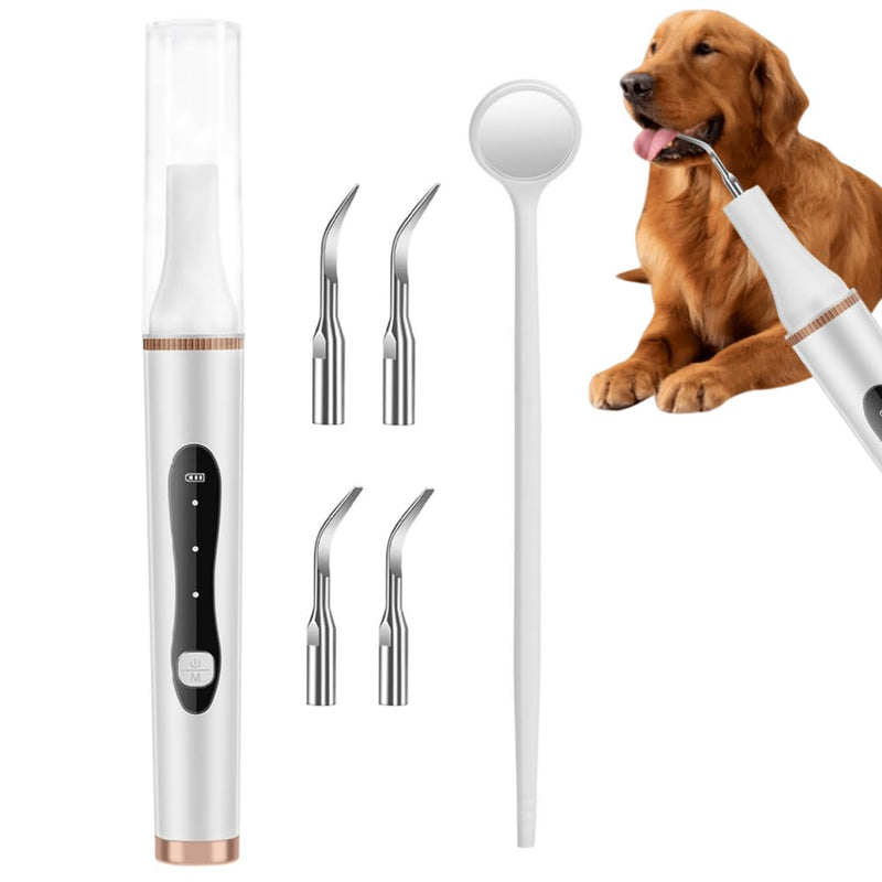 Dog Plaque Remover for Teeth - Pet Tartar Cleaner with Built-in Light & Mouth Mirror, Dog Teeth Cleaning Kit for Home Grooming for Dogs & Cats - PawsPlanet Australia