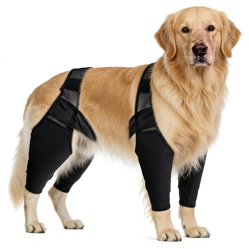 Hoypeyfiy Hind Leg Splint for Dogs for ACL Injuries, Supports Joint Stability and Reduces Pain, Comfortable and Adjustable Dog Knee Brace for All Breeds (Small)