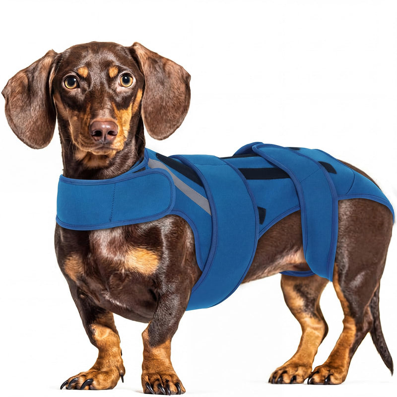 Dog Back Brace M, Adjustable Spine Support Vest for IVDD, Slipped Disc, Herniated Disc, Arthritis, Post Surgery Recovery, Back Pain Relief for Dachshund,Corgi Blue