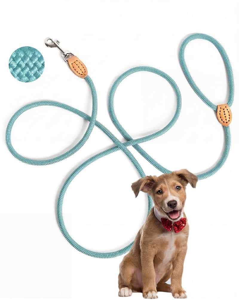 Dog Lead 2 m & 3 m - Robust Round Rope Rope for Small, Medium & Large Dogs, Reflective & Lightweight - Nylon Lead with Safety Carabiner & Leather Handles (2 m x 0.8 cm, Light Blue) lightblue 2m x 0.8cm
