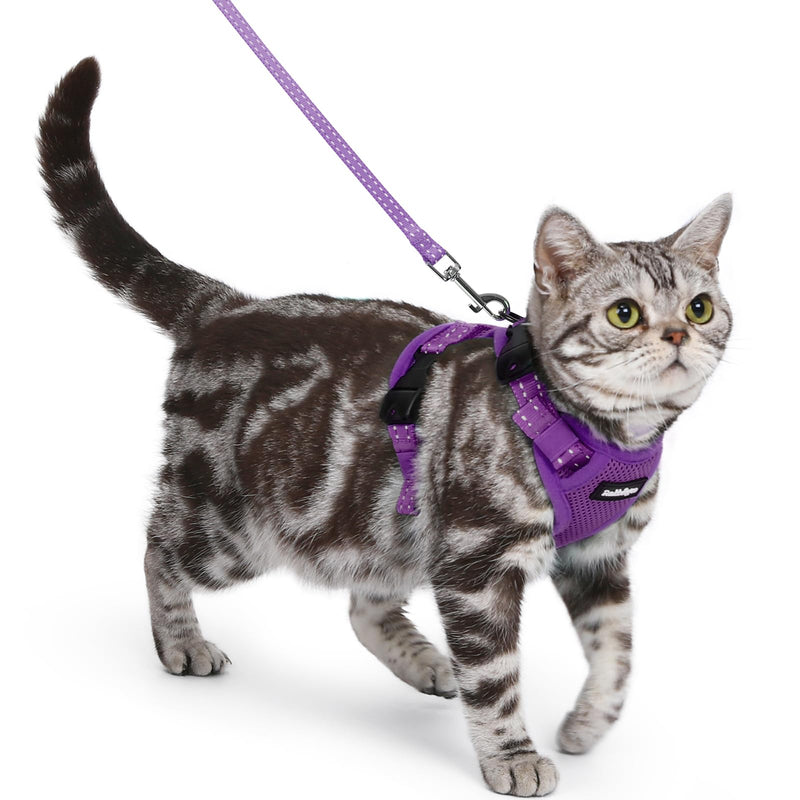rabbitgoo Cat Harness and Lead Set, Escape Proof Kitten Harness with 3 Adjustable Buckles, Soft Comfortable Cat Vest with Leash, Easy to Wear, Reflective for Safe Outdoor Walking, Small, Purple