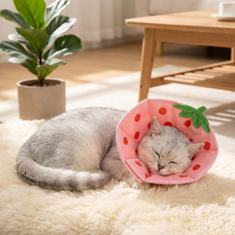 Cosiesnest Adjustable Elizabethan Cat Cone Collar to Stop Licking After Surgery Cat Recovery Collar Soft Cone, Waterproof Design with Folding Edges for Cats and Kittens - Strawberry (S)