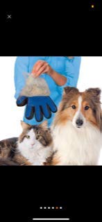 [Australia] - HOPEKIN Pet, Dogs, Cats Brushing & Grooming Gloves | Dog, Cat Hair Removing Tool, Pet Hair Brush & Deshedding Gloves| Set of 2 for Pet Grooming, Messaging & Brushing Blue 