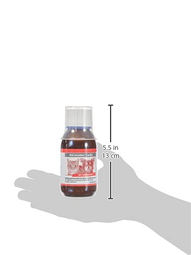 alfavet ReConvales Cardio to support the heart function of cats and dogs, supplementary food with carnitine, 3 x 90ml bottles - PawsPlanet Australia