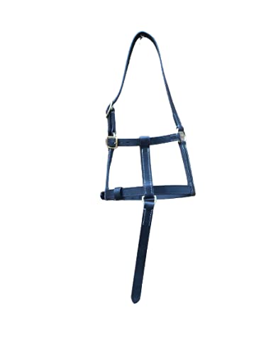 Cwell Equine FOAL LEATHER HEAD COLLAR HALTER BLACK - PawsPlanet Australia