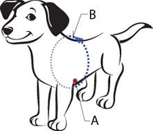 [Australia] - The Original Sense-ation No-Pull Dog Training Harness (Blue, Extra Small Wide) 