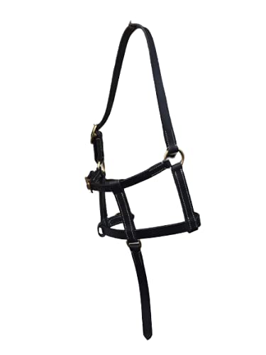 Cwell Equine FOAL LEATHER HEAD COLLAR HALTER BLACK - PawsPlanet Australia