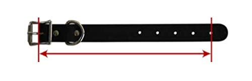 SIE Rolled Leather Dog Collars (20'', Black) 20'' - PawsPlanet Australia