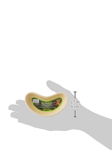 Komodo Kidney Bowl - Sml, One Size - PawsPlanet Australia