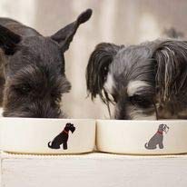 Sweet William Schnauzer (Black) Small Dog Bowl - PawsPlanet Australia