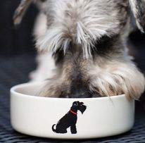 Sweet William Schnauzer (Black) Small Dog Bowl - PawsPlanet Australia