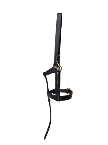 Cwell Equine FOAL LEATHER HEAD COLLAR HALTER BLACK - PawsPlanet Australia