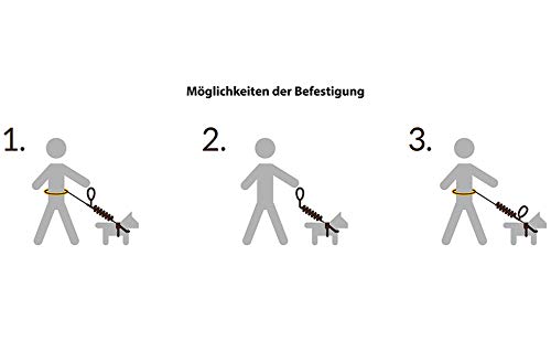 Dingo jogging belt 4 in 1 + dog leash with a shock absorber set L/XL belt: 3.0 x 70-130 cm dog leash: 2.5 x 120-150 cm black free hands for jogging, running 12779 L/XL (pack of 1) - PawsPlanet Australia
