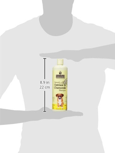 [Australia] - Natural Chemistry Natural Shampoo Shampoo 16.9 oz. default 