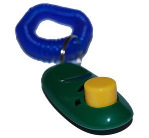 [Australia] - Downtown Pet Supply Big Button Dog Cat Training Clicker, Clickers with Wrist Bands 4 Pack 