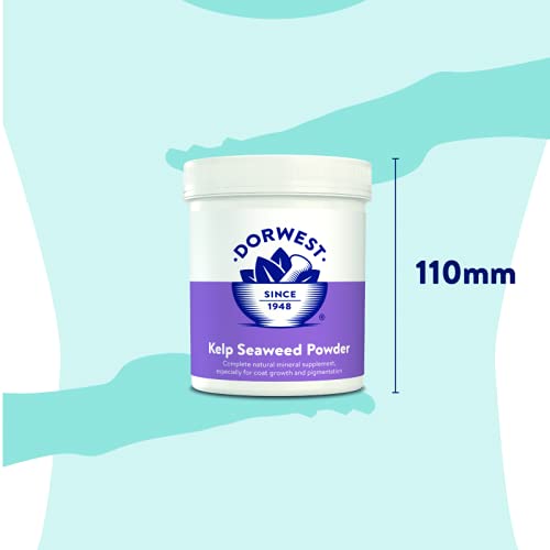 DORWEST HERBS Kelp and Seaweed Powder for Dogs and Cats 250g - PawsPlanet Australia