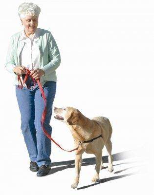 [Australia] - The Original Sense-ation No-Pull Dog Training Harness (Blue, Medium-Large Wide) 