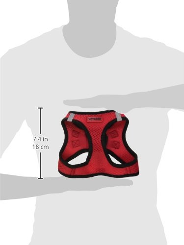 Voyager Step-in Air Dog Harness - All Weather Mesh Step in Vest Harness for Small and Medium Dogs by Best Pet Supplies M (Chest: 16 - 18") Red Base - PawsPlanet Australia