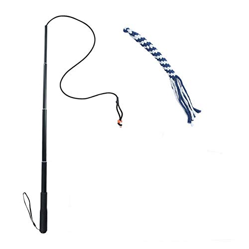 Extendable Durable Teaser Wand Dog Toy Stick Flirt Fishing Pole for Dogs Training - PawsPlanet Australia