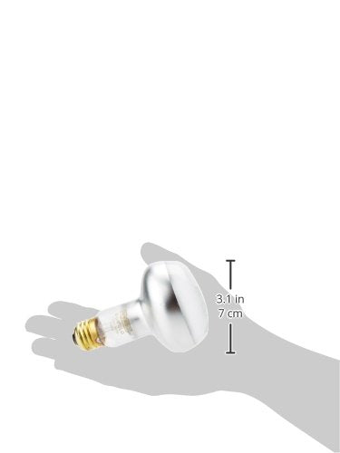 Exo Terra Intense Basking Spot Lamp, 100 W 100 Watt - PawsPlanet Australia