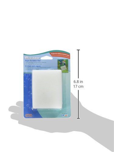 [Australia] - Penn Plax WZP2 Wizard Algae Scrubber Pad – for Plastic or Acrylic Tanks – 3” x 4” 