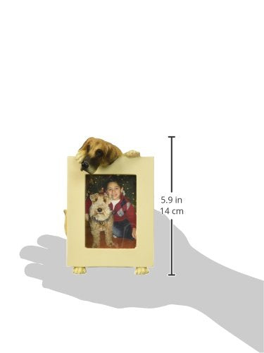 [Australia] - Great Dane Picture Frame Holds Your Favorite 2.5 by 3.5 Inch Photo, Hand Painted Realistic Looking Great Dane Stands 6 Inches Tall Holding Beautifully Crafted Frame, Unique and Special Great Dane Gifts for Great Dane Owners 