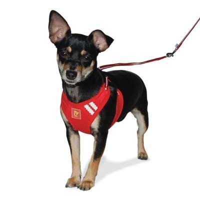 [Australia] - DOGO Pet Fashions EasyGO Basic (Black, Small) 