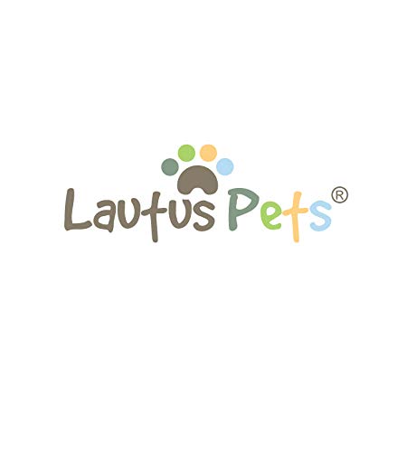 Lautus Pets Medium Dog Cooling Vest - Lightweight Dog Cooling Jacket for Medium Dogs. (e.g. Pug, King Charles Cavalier) M - Medium 35cm Blue - PawsPlanet Australia