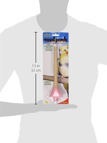 [Australia] - JW Pet Company Insight Wood Perch Bird Accessory REGULAR 