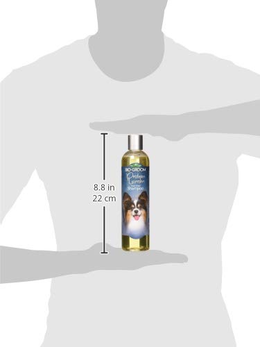 [Australia] - Bio-Groom DBB20012 Protein Lanolin Tearless Concentrate Small Pet Shampoo, 12-Ounce 