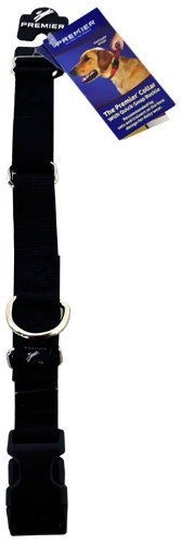 PetSafe Martingale Dog Collar with Quick Snap Buckle Large (1" Width) Black - PawsPlanet Australia