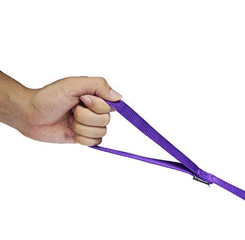 [Australia] - Siumouhoi Dog/Puppy Obedience Recall Training Agility Lead-15 ft 20 ft 30 ft 40 ft 50 ft Long Leash -for Training Leash, Play, Safety, Camping,or Backyard 15Feet Purple 