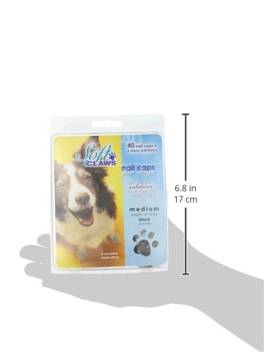 [Australia] - Soft Claws Canine Dog and Cat Nail Caps Take Home Kit, Medium, Black 