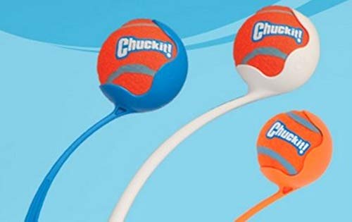 Chuckit! Tennis Dog Balls, Medium - PawsPlanet Australia