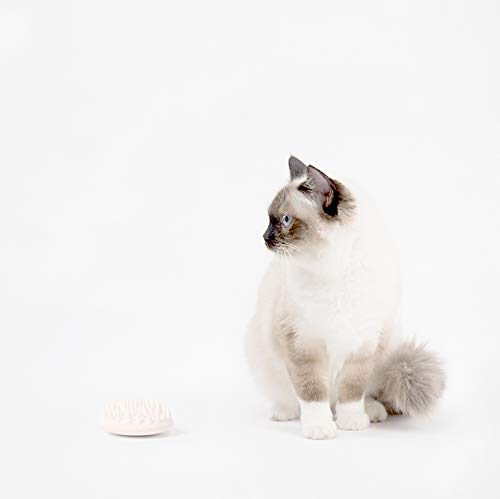 PETKIT Cat Brush for Shedding and Grooming, Soft Silicone Dog Cat Massage Bath Brush, Efficiently Removes Loose Short Hair, Great for Bath Deshedding and Massaging & for Sensitive Skin Pink - PawsPlanet Australia