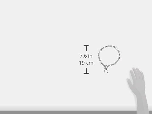 [Australia] - Herm Sprenger Medium 2.5mm 20" Choke Collar or Neck Size of Up To 17" 