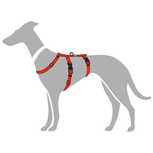 HUNTER Escape-proof harness Vario Rapid, M red, Nylon Medium - PawsPlanet Australia