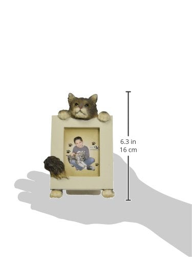 [Australia] - E&S Pets 35316-6 Small Cat Frame 