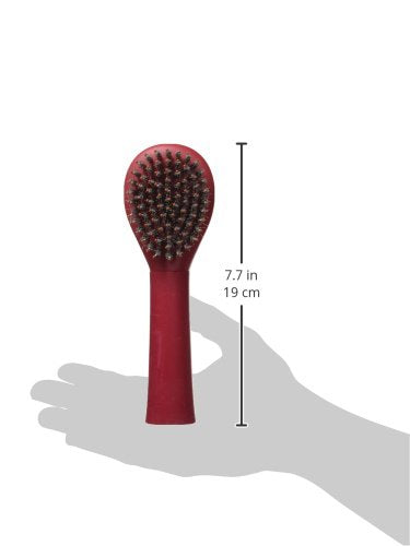 Le Salon Essentials Porcupine Bristle Dog Brush, Small S - PawsPlanet Australia