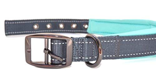Black Rhino - The Comfort Collar Ultra Soft Neoprene Padded Dog Collar for All Breeds - Heavy Duty Adjustable Reflective Weatherproof (Small, Aqua/Grey) Small - PawsPlanet Australia