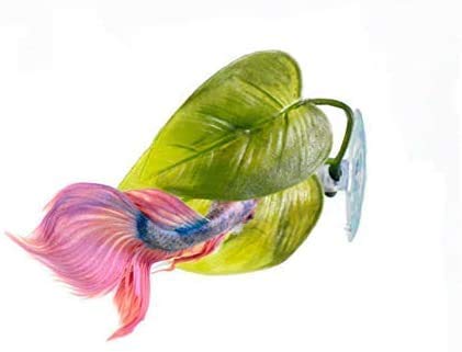 [Australia] - MBODM Betta Fish Leaf Hammock,2Pcs Betta Fish Leaf Bed Pad Plant Leaf Pad Fish Spawning Grounds Breeding Resting Bed 