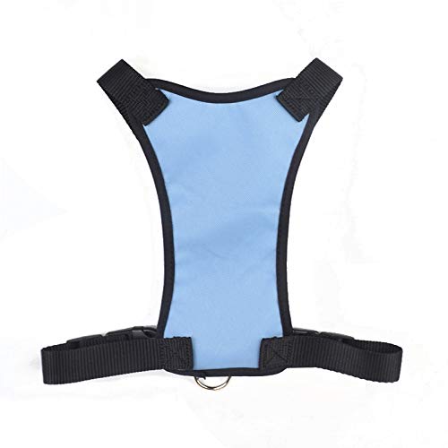 New G Line Blue Dog Harness Breathable Comfortable Pet Vest Adjustable Soft Padded Dog Power Strap, size L - PawsPlanet Australia