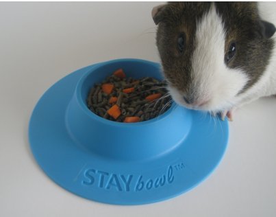 STAYbowl Tip-Proof Ergonomic Pet Bowl for Guinea Pig and Other Small Pets; 1/4-Cup Size; Sky Blue - PawsPlanet Australia