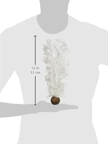 biOrb Sea Fan, Medium, White M (Pack of 1) Single - PawsPlanet Australia