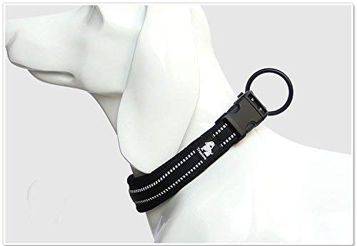 TRUE LOVE Truelove Dog Training Collar TLC5011 Reflective Premium Buckle Nylon Webbing Pet Dog Collars,High Grade Nylon Webbing No Choke Basic Collars Now Available (2XS, Black) 2XS - PawsPlanet Australia